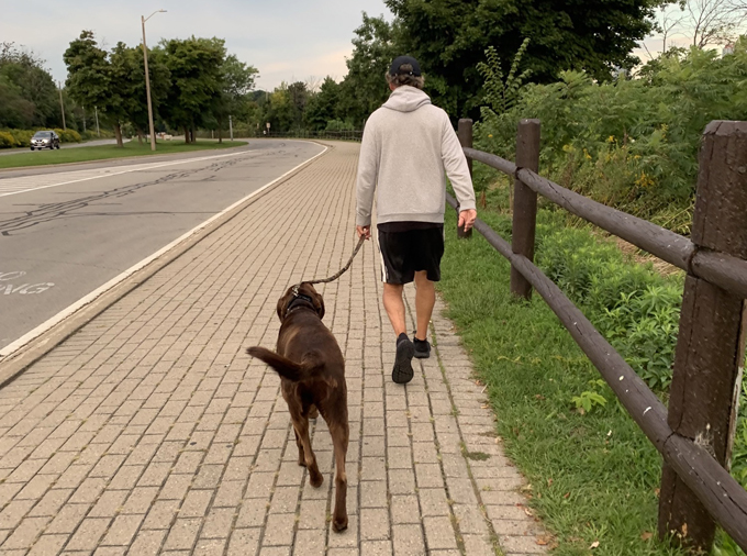 are dogs allowed on Niagara Falls tours