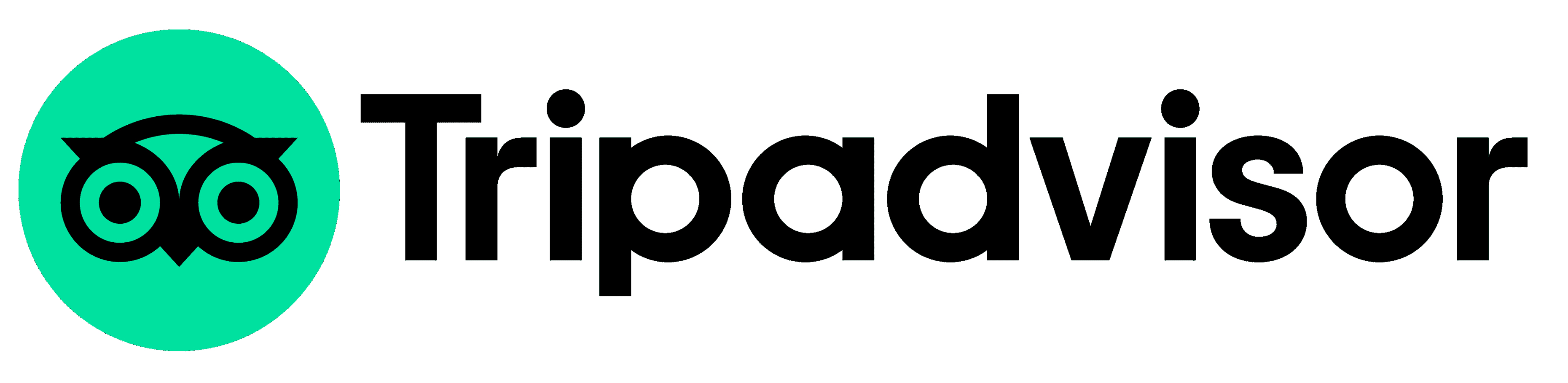 TripAdvisor Niagara Falls tours